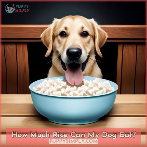 How Much Rice Can My Dog Eat