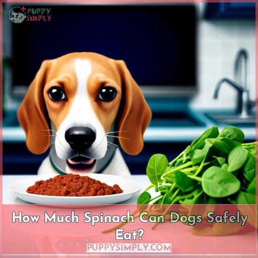 How Much Spinach Can Dogs Safely Eat