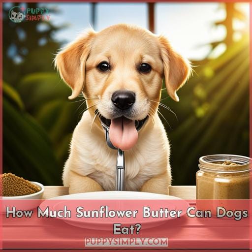 How Much Sunflower Butter Can Dogs Eat