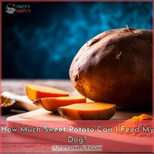 How Much Sweet Potato Can I Feed My Dog