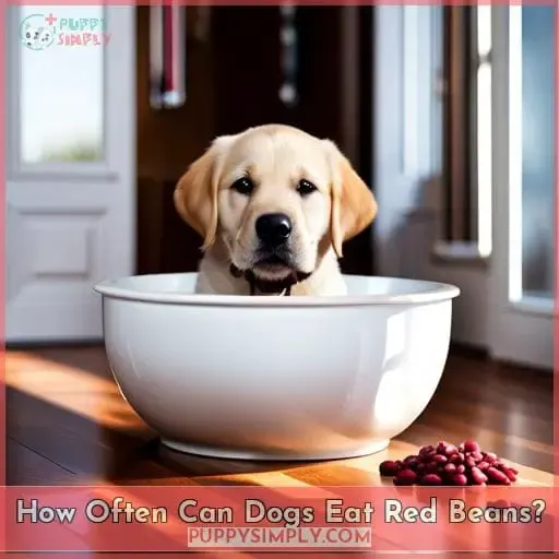 How Often Can Dogs Eat Red Beans