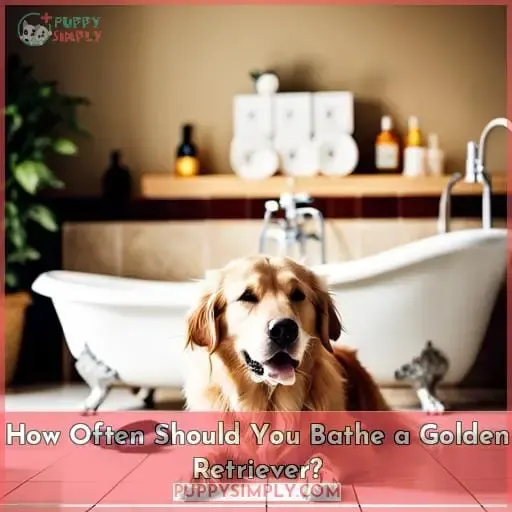 How Often Should You Bathe a Golden Retriever