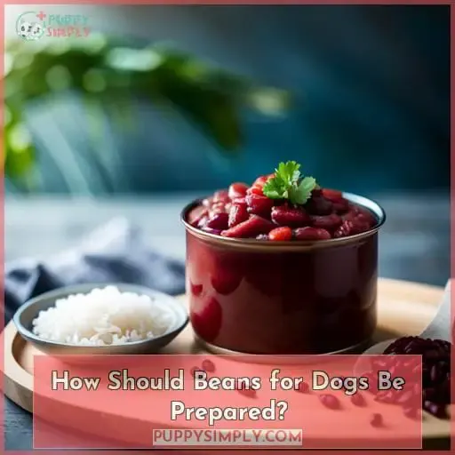 How Should Beans for Dogs Be Prepared