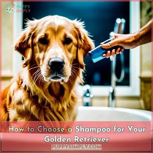 How to Choose a Shampoo for Your Golden Retriever