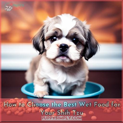 How to Choose the Best Wet Food for Your Shih Tzu