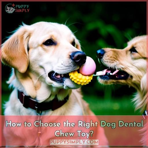 How to Choose the Right Dog Dental Chew Toy