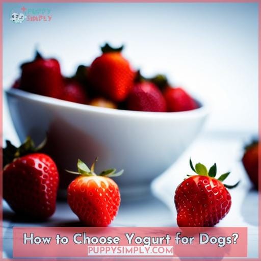 How to Choose Yogurt for Dogs