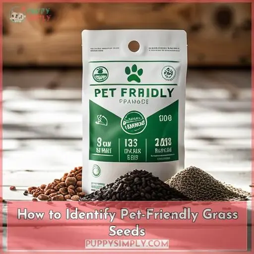 How to Identify Pet-Friendly Grass Seeds