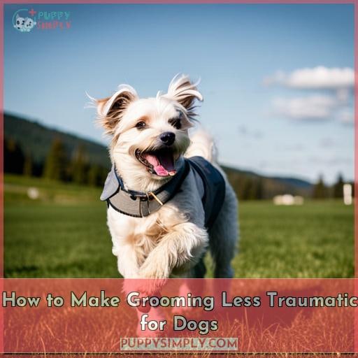 How to Make Grooming Less Traumatic for Dogs