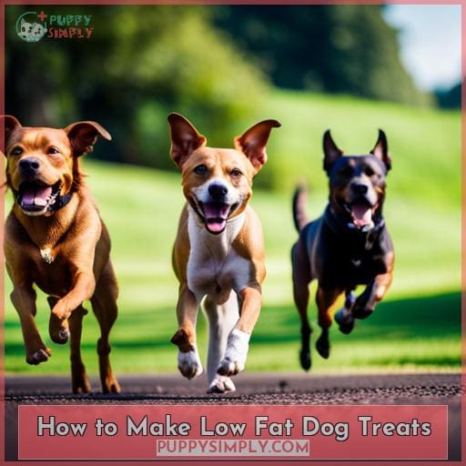 How to Make Low Fat Dog Treats