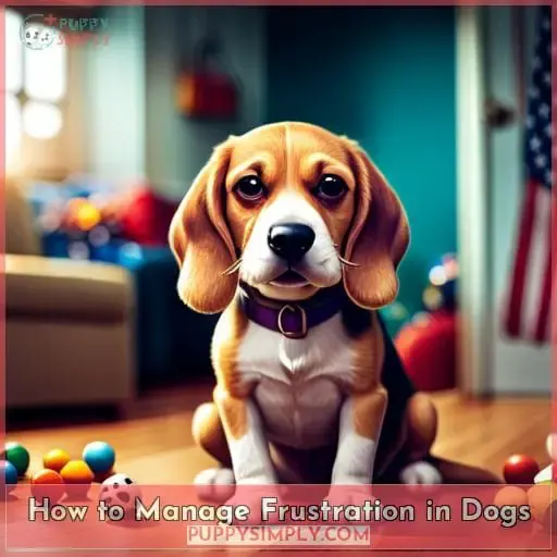 How to Manage Frustration in Dogs