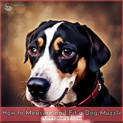 How to Measure and Fit a Dog Muzzle