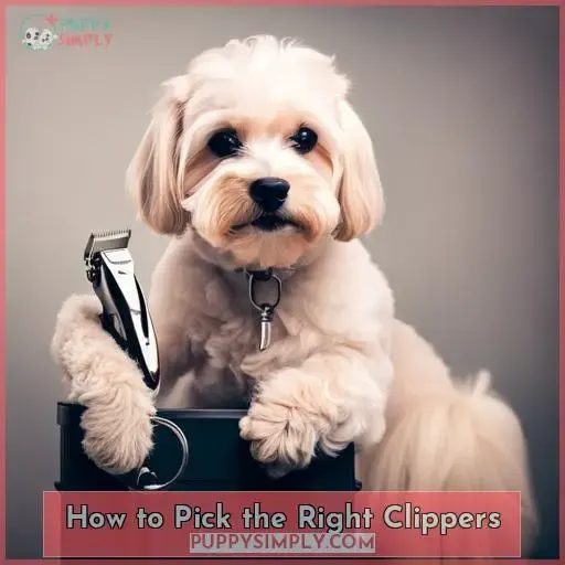 How to Pick the Right Clippers