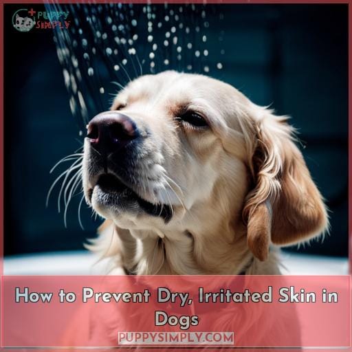 How to Prevent Dry, Irritated Skin in Dogs