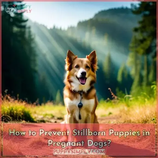 How to Prevent Stillborn Puppies in Pregnant Dogs