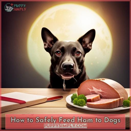 How to Safely Feed Ham to Dogs