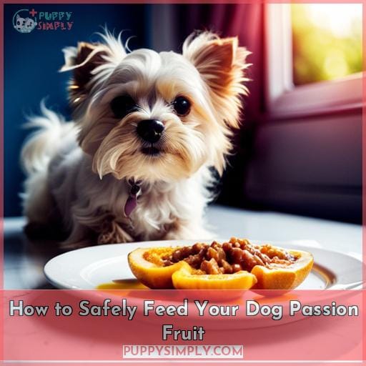 How to Safely Feed Your Dog Passion Fruit