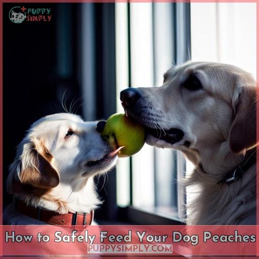 How to Safely Feed Your Dog Peaches