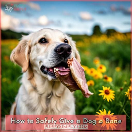 How to Safely Give a Dog a Bone