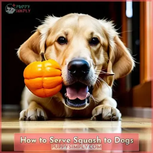 How to Serve Squash to Dogs