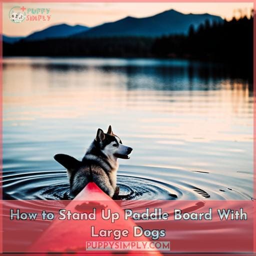 Best Paddle Board for Dogs Furry Companions on the Water in 2024