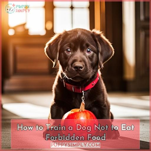 How to Train a Dog Not to Eat Forbidden Food