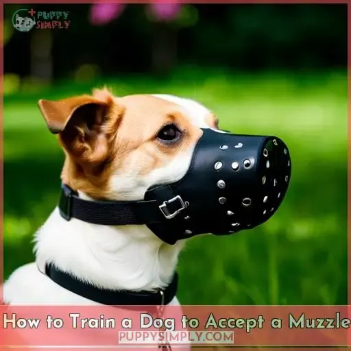 How to Train a Dog to Accept a Muzzle