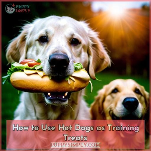 How to Use Hot Dogs as Training Treats