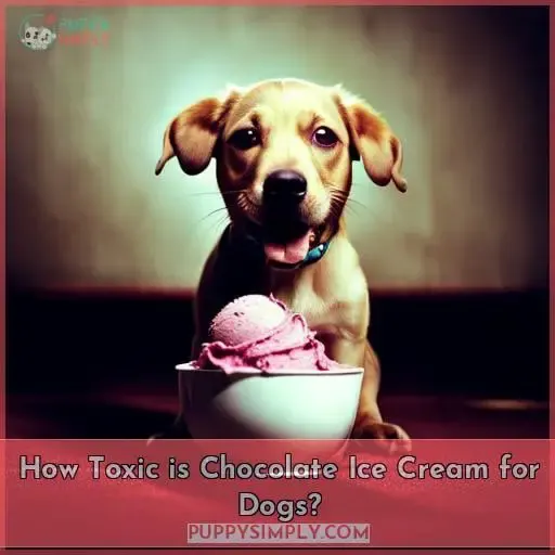 How Toxic is Chocolate Ice Cream for Dogs