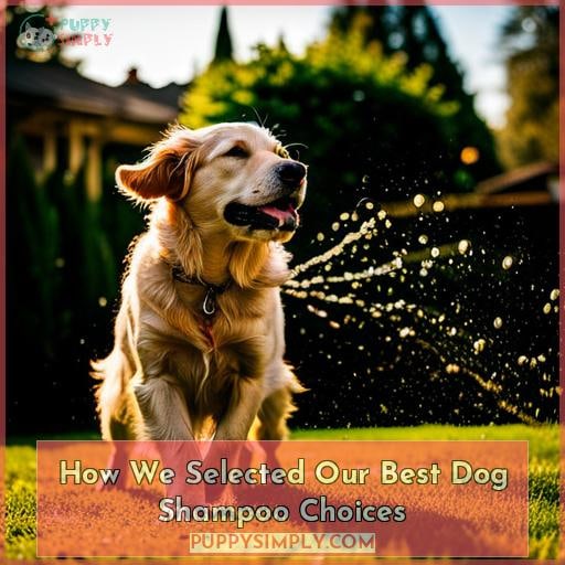 How We Selected Our Best Dog Shampoo Choices