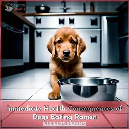 Immediate Health Consequences of Dogs Eating Ramen