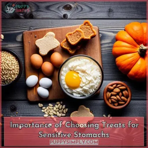 Importance of Choosing Treats for Sensitive Stomachs