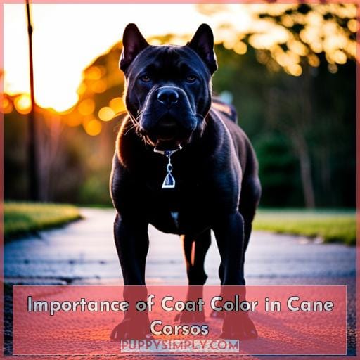 Importance of Coat Color in Cane Corsos