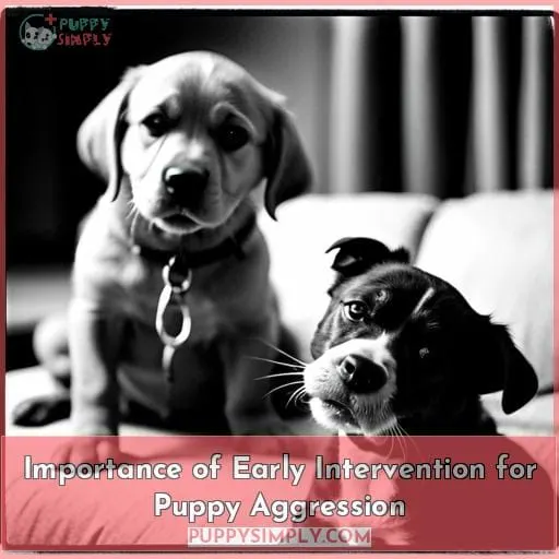 Importance of Early Intervention for Puppy Aggression