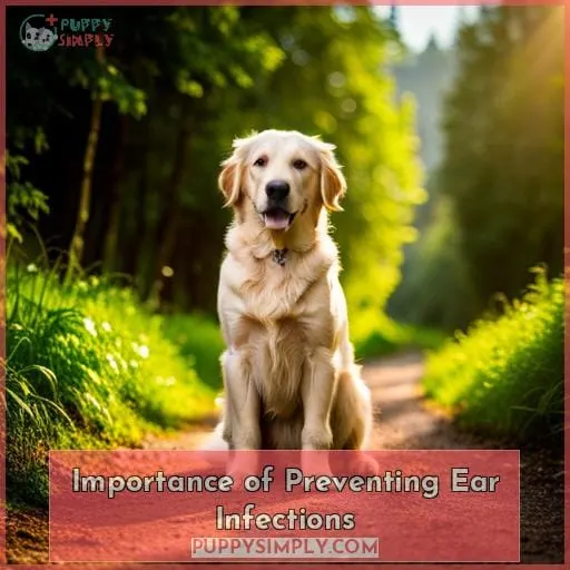 Importance of Preventing Ear Infections