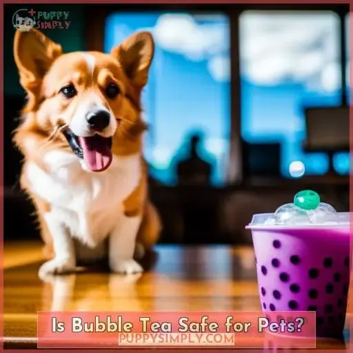 Is Bubble Tea Safe for Pets