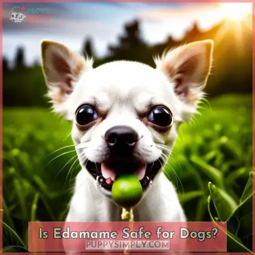 Is Edamame Safe for Dogs