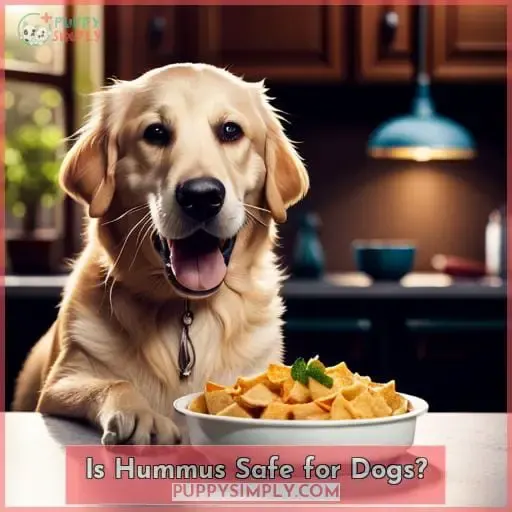 Is Hummus Safe for Dogs