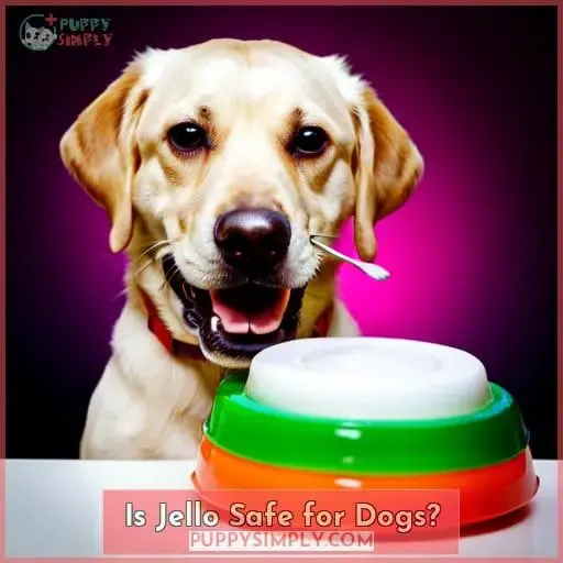 Is Jello Safe for Dogs