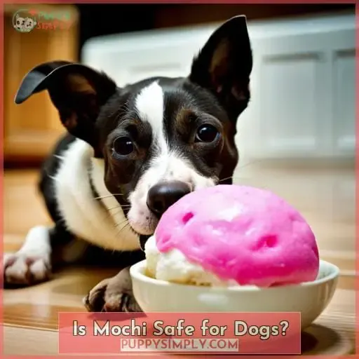 Is Mochi Safe for Dogs