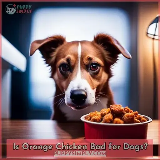Is Orange Chicken Bad for Dogs