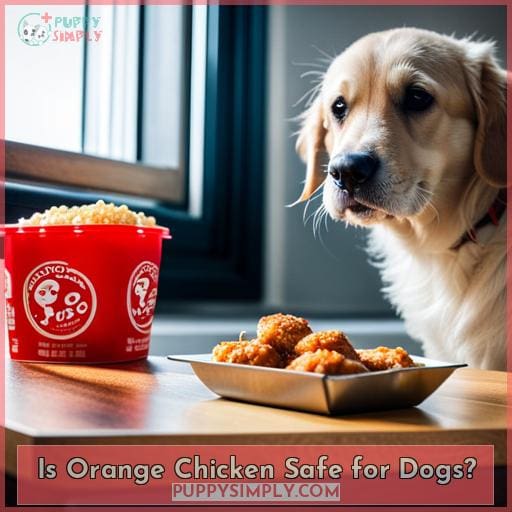 Is Orange Chicken Safe for Dogs