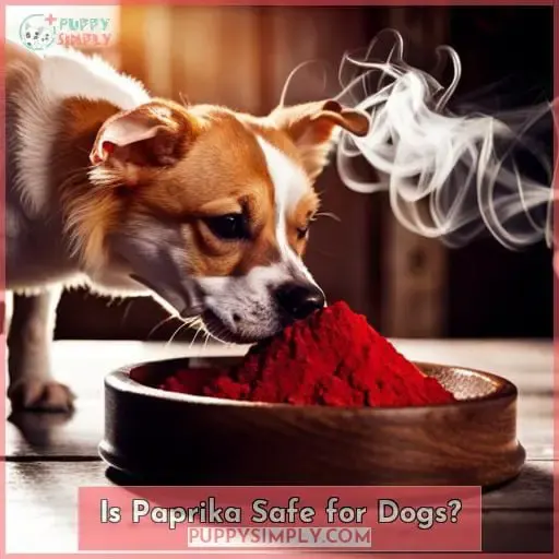 Is Paprika Safe for Dogs