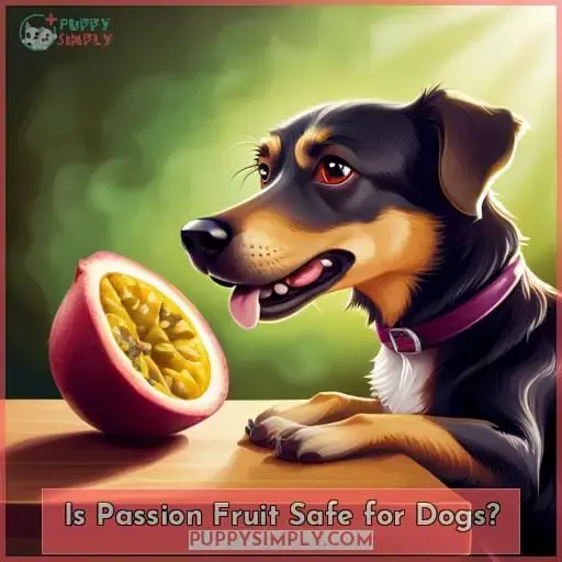 Is Passion Fruit Safe for Dogs