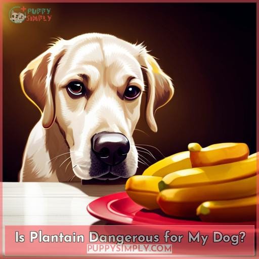 Is Plantain Dangerous for My Dog