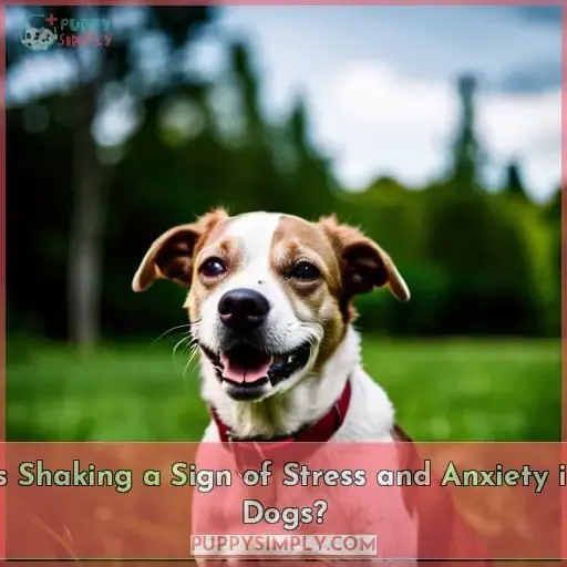 Is Shaking a Sign of Stress and Anxiety in Dogs