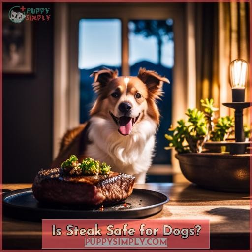 Is Steak Safe for Dogs