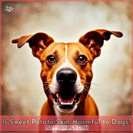 Is Sweet Potato Skin Harmful to Dogs