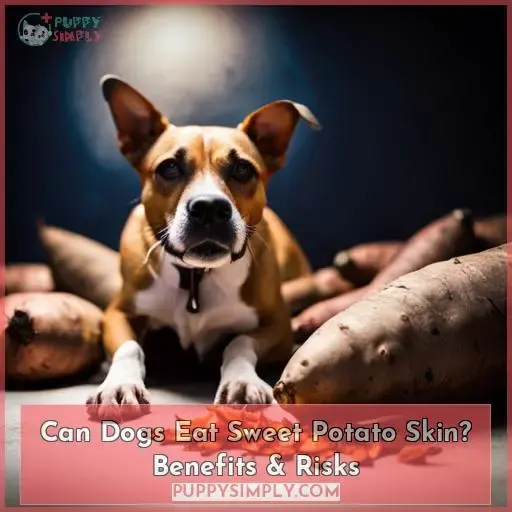 is sweet potatoe skin harmful to dogs