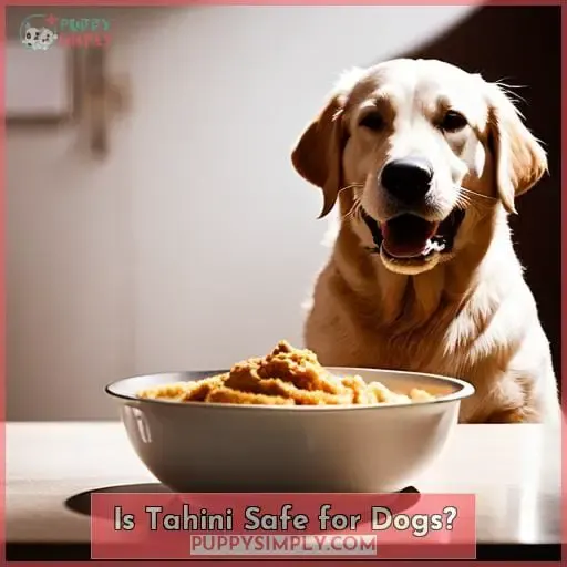 Is Tahini Safe for Dogs